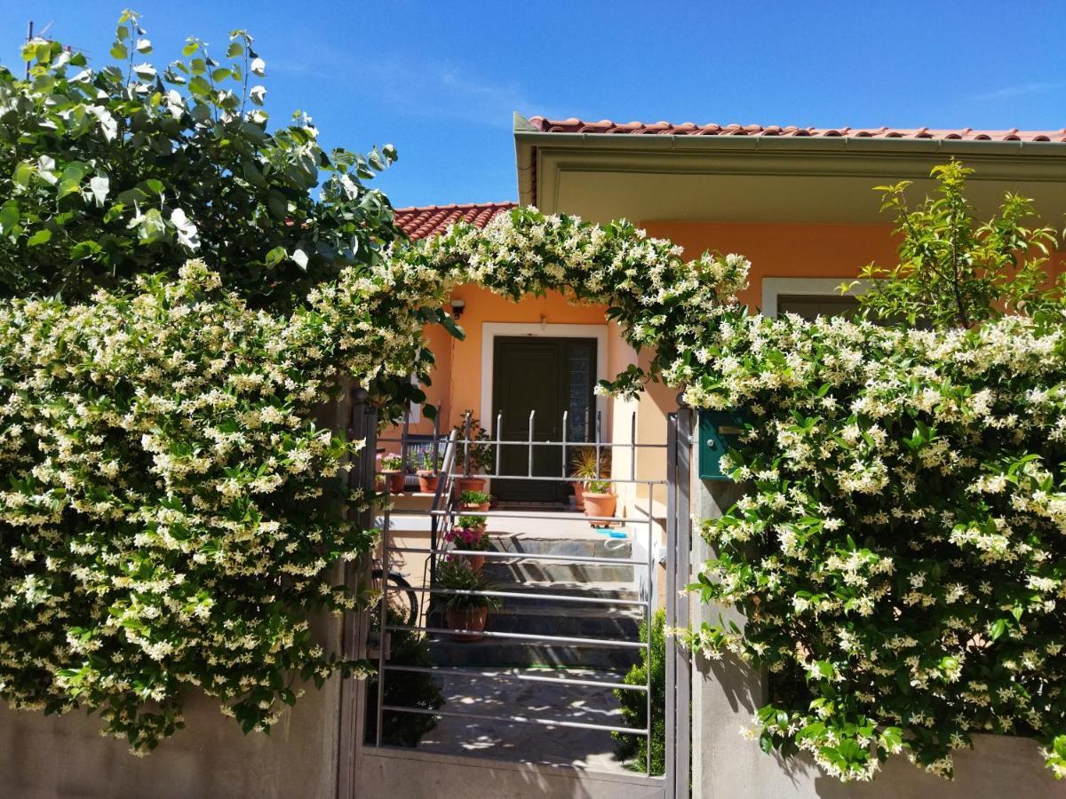 View House Villa Agria Exterior photo